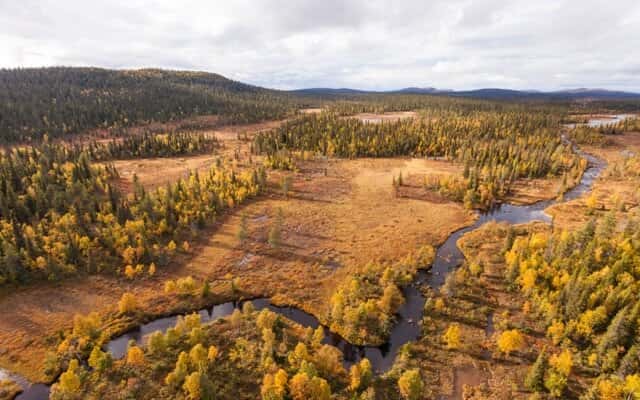 Skogsfastigheter i Norrbottens län