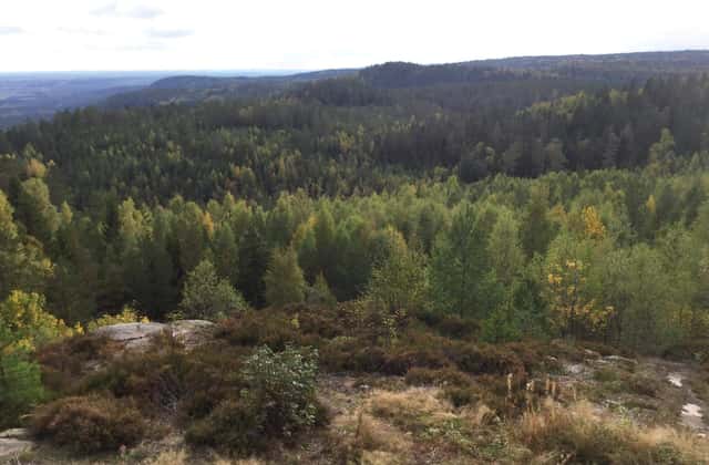 Skogsfastigheter i Örebro län