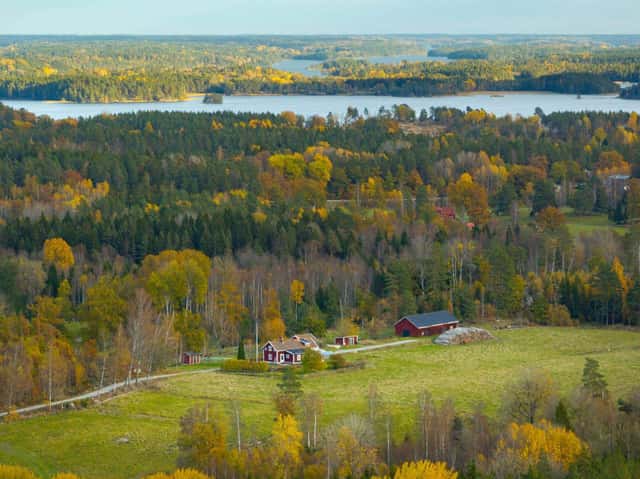 Skogsfastigheter i Södermanlands län