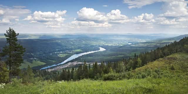 Skogsfastigheter i Värmlands län