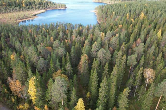 Bild på Vindeln Storsävarträsk 5:1