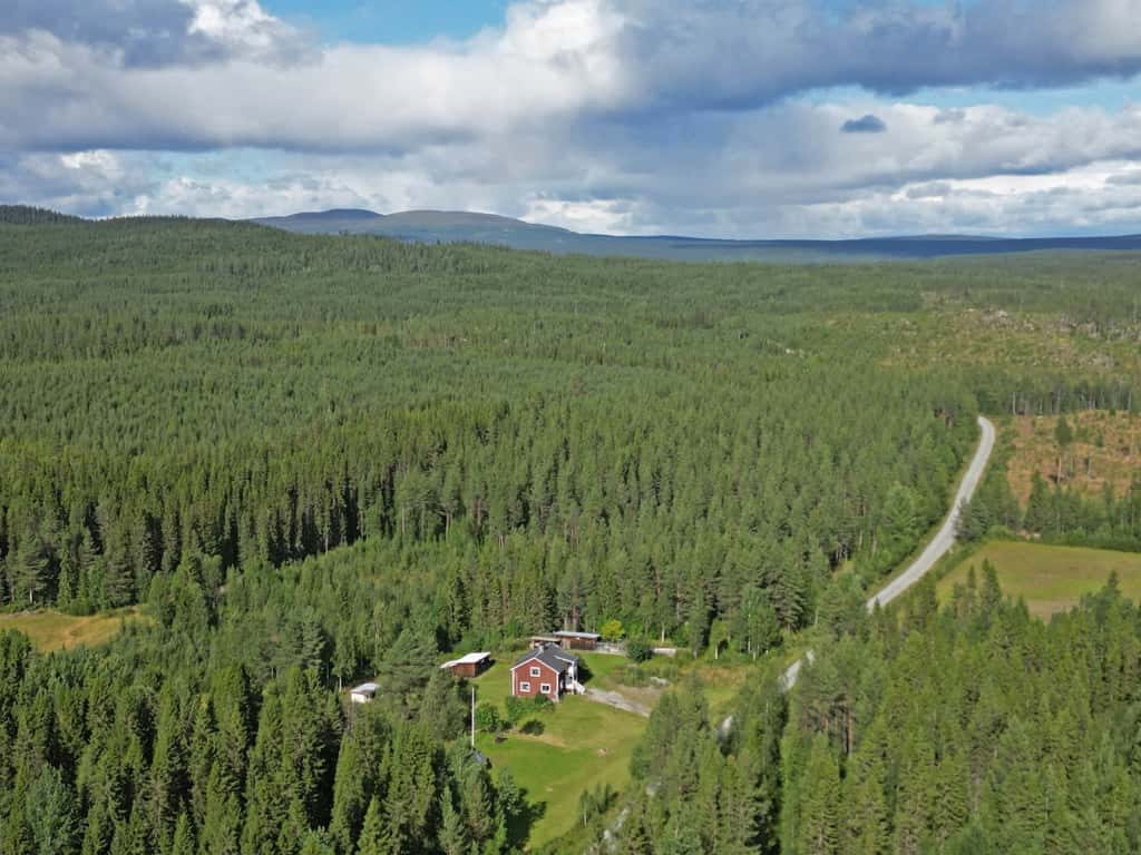 Bild på Risbäck