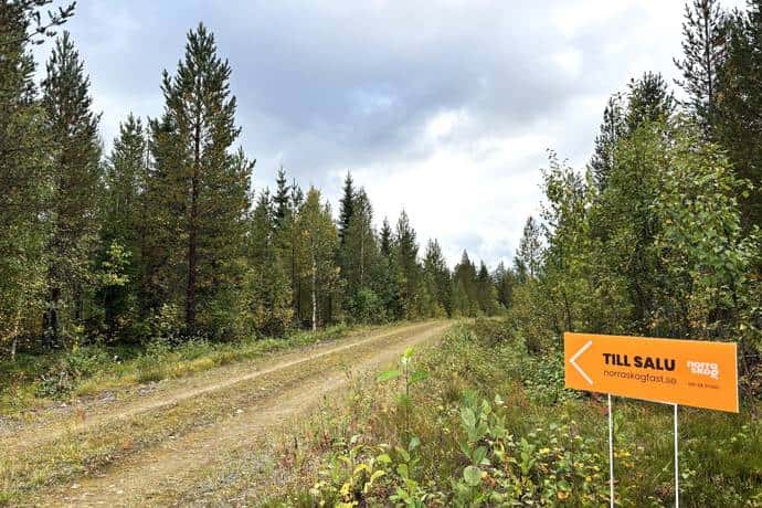 Bild på Lycksele Örträsk 5:17 & 46:3