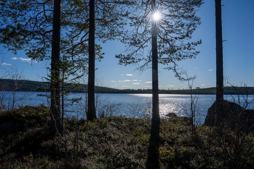 Bild på Görvik