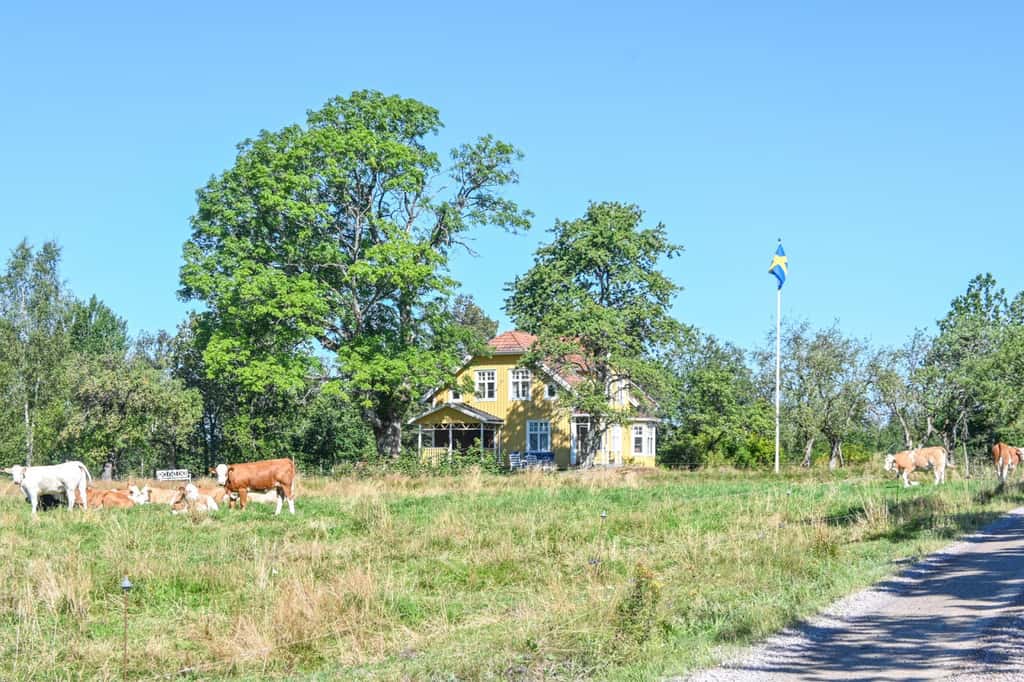 Bild på Granshult Västragården