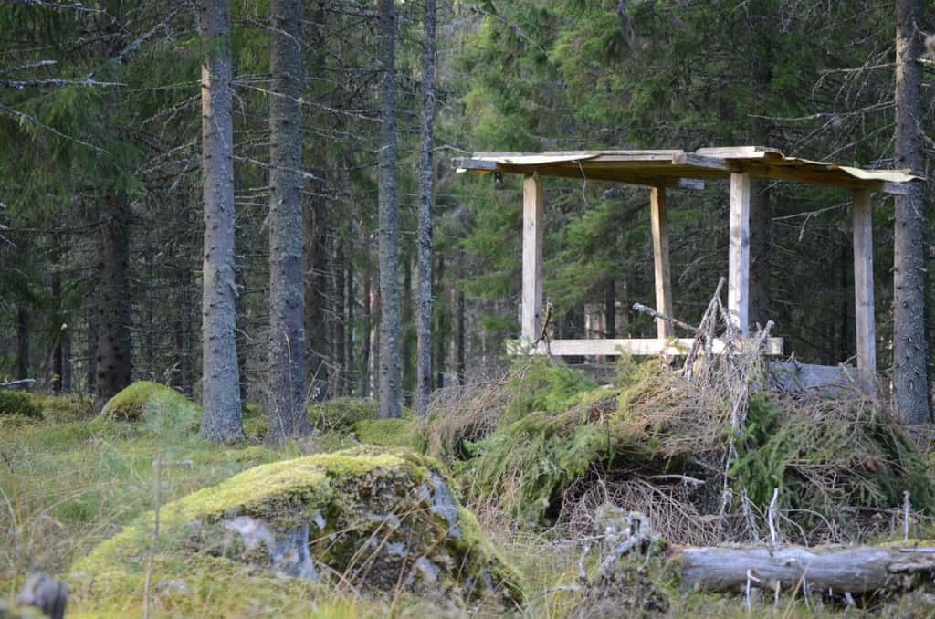 Bild på Hummelbo