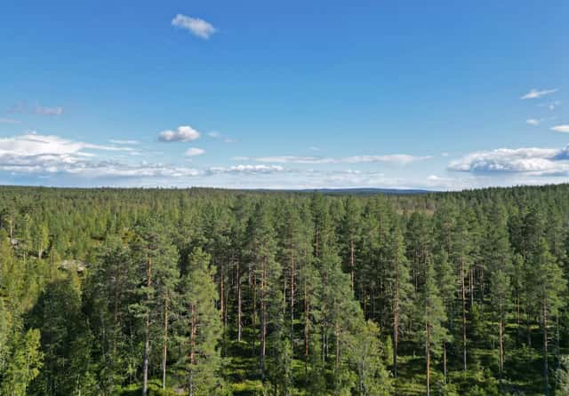 Bild på Hörnsjö