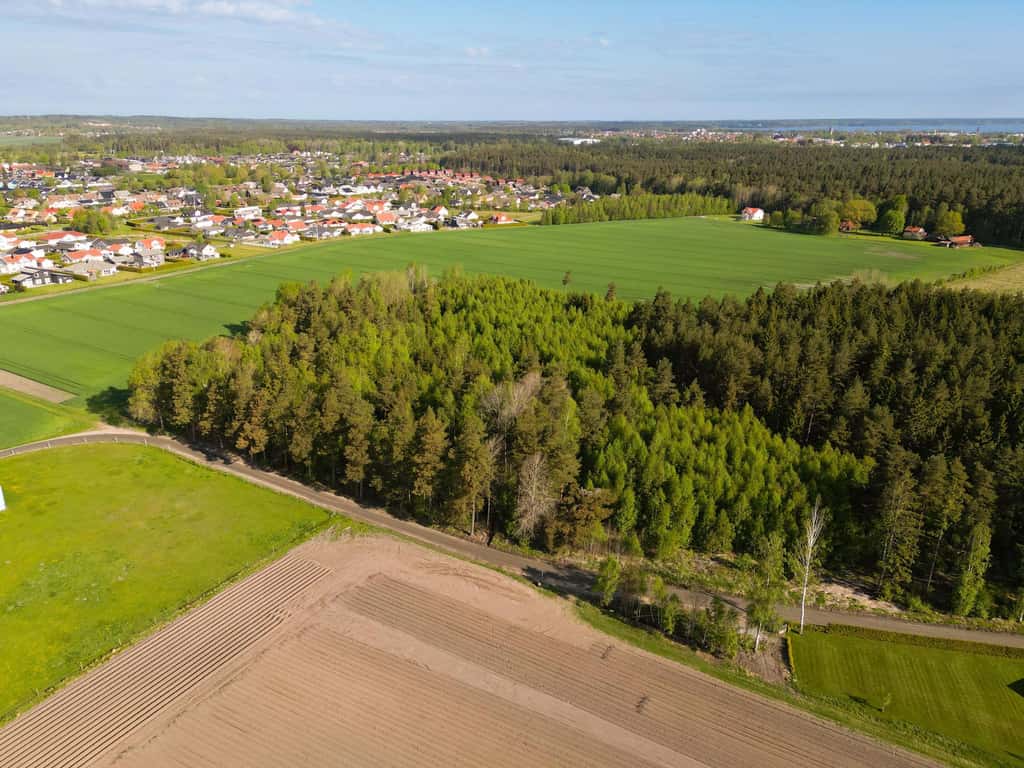 Bild på Åker och skogsmark gränsande till Majåker