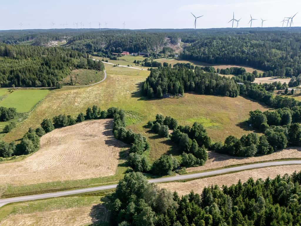 Bild på Äng