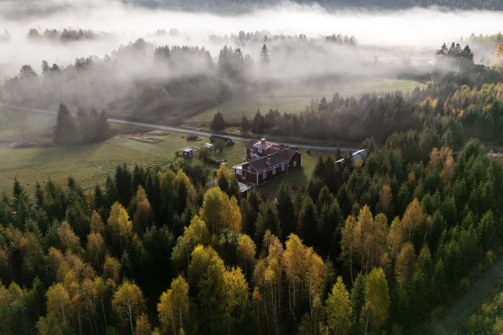 Bild på Bjart