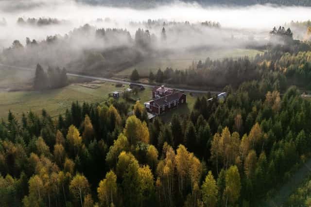 Bild på Bjart