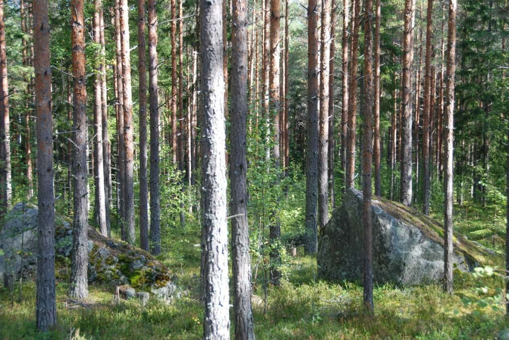 Bild på Häkenberget