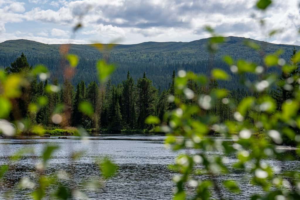 Bild på Tännäs